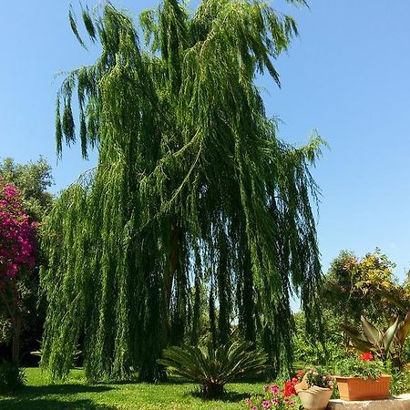 La Casa Dei Sogni Bed & Breakfast Syracuse Bagian luar foto
