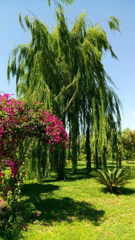 La Casa Dei Sogni Bed & Breakfast Syracuse Bagian luar foto
