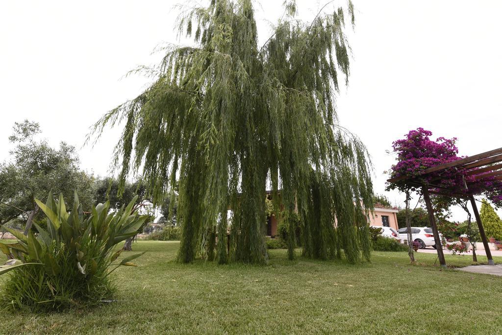 La Casa Dei Sogni Bed & Breakfast Syracuse Bagian luar foto